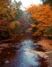 autumn_lake-1199