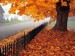 autumn-poetry-fall-october