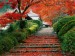 fall-autumn_walkway